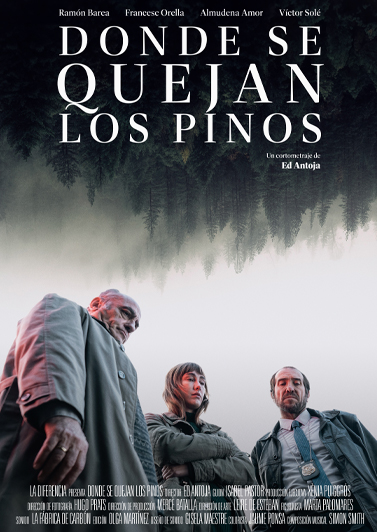 Donde se quejan los pinos