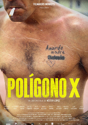 Polígono X