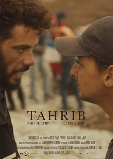 TAHRIB